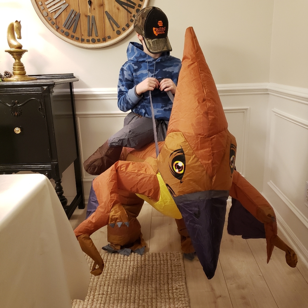 Pterodactyl Dinosaur Costume